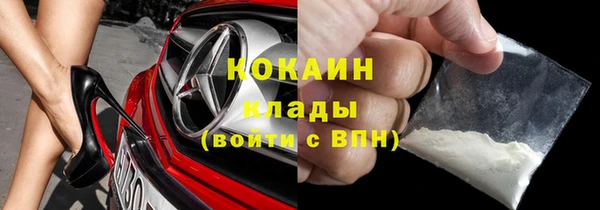 шишки Балахна