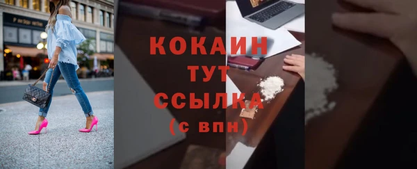 шишки Балахна