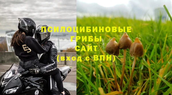 apvp Зеленодольск