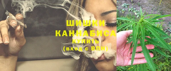 шишки Балахна