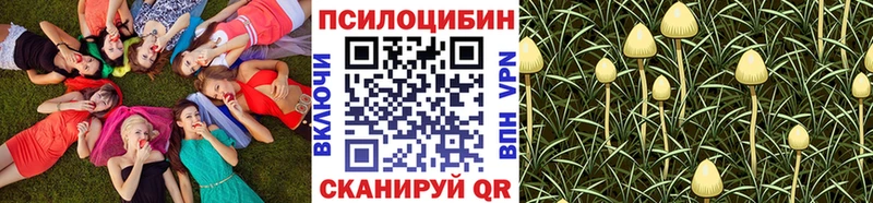 мориарти наркотические препараты  купить закладку  Бор  Галлюциногенные грибы мухоморы 